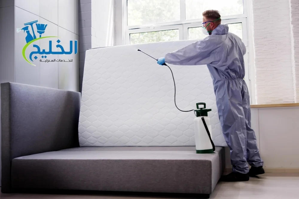 شركة بخ حشرات