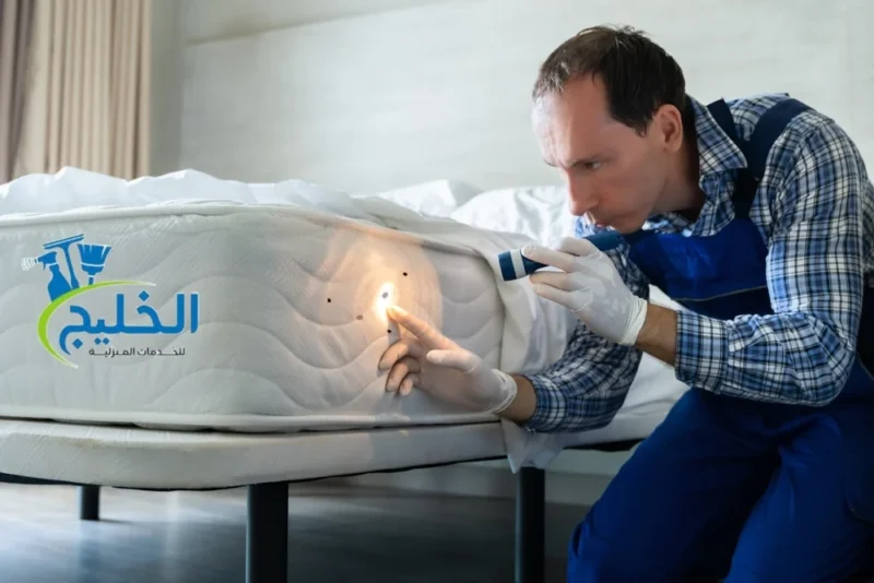 شركة بخ حشرات - حقن البواليع مع ضمان 6 أشهر