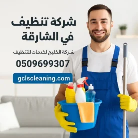 شركة تنظيف في الشارقة - تنظيف فلل 0509699307