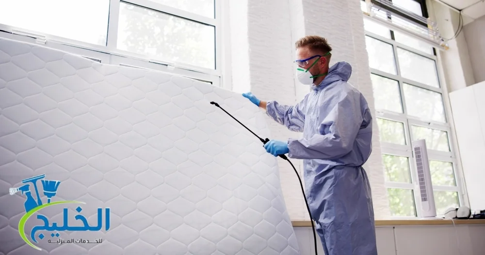 شركة رش مبيدات قاتل حشرات