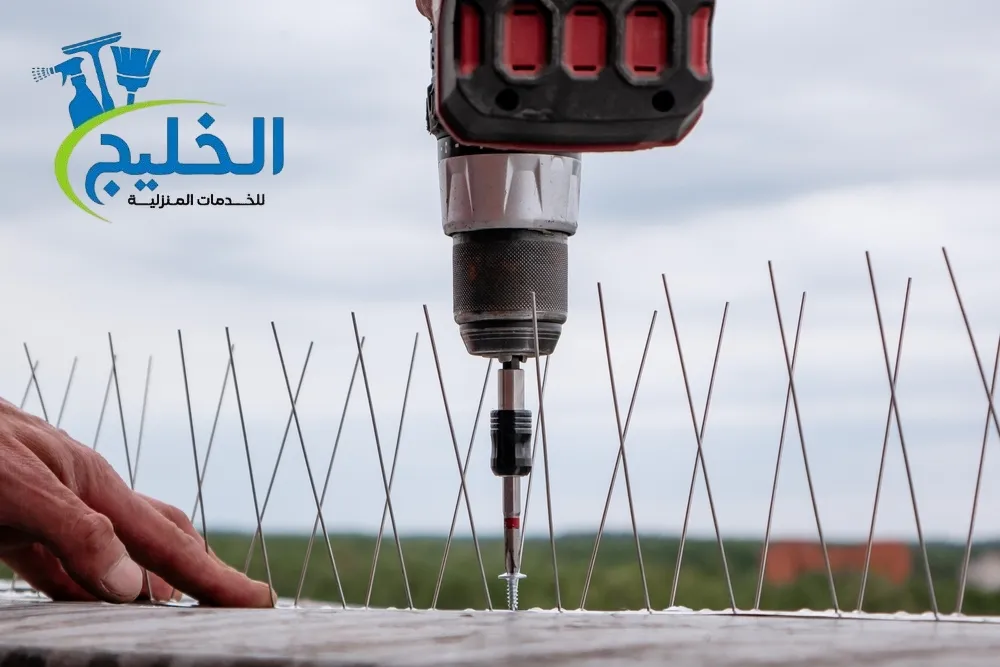 شركة مكافحة الحمام